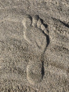 Footprint