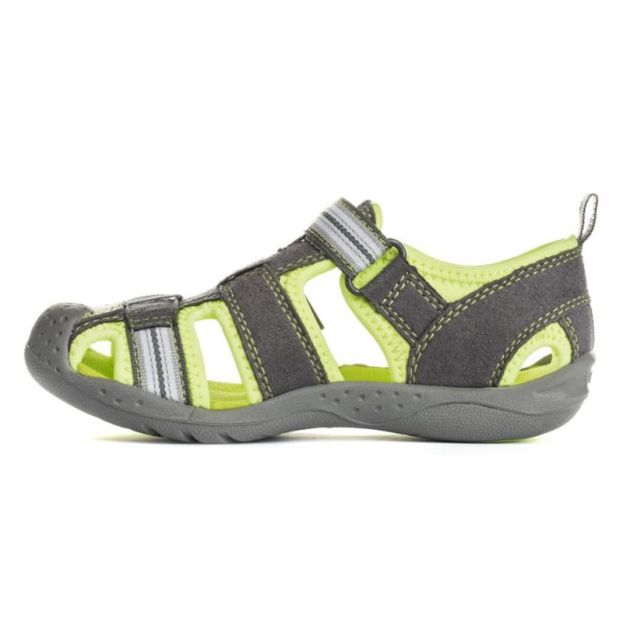 Pediped Sahara Grey Lime
