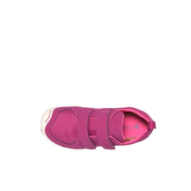 Plae Lucien Festival Fuchsia