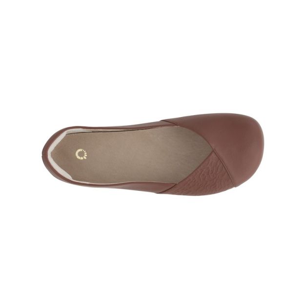 Xero Ladies Phoenix Shoes Brown