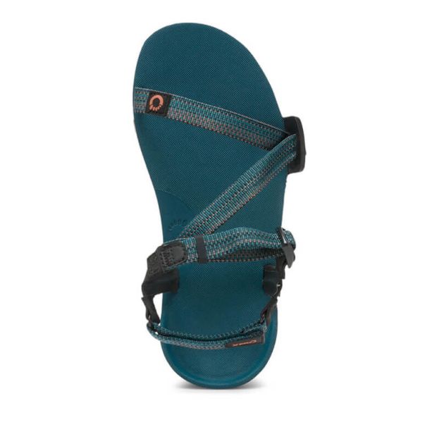 Xero Mens Z-Trail EV Sports Sandal in Deep Lagoon